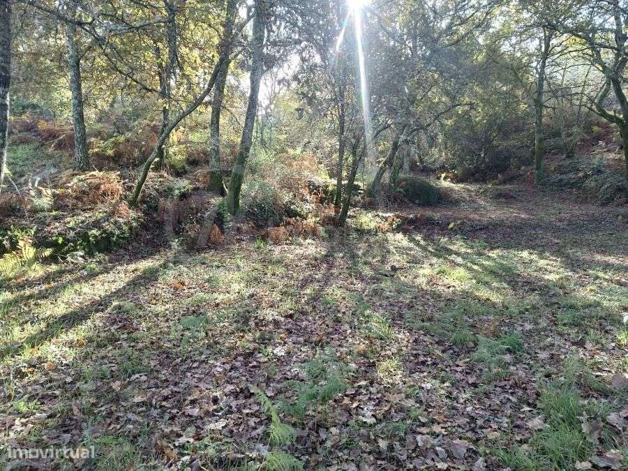 Terreno sito na Légua-10