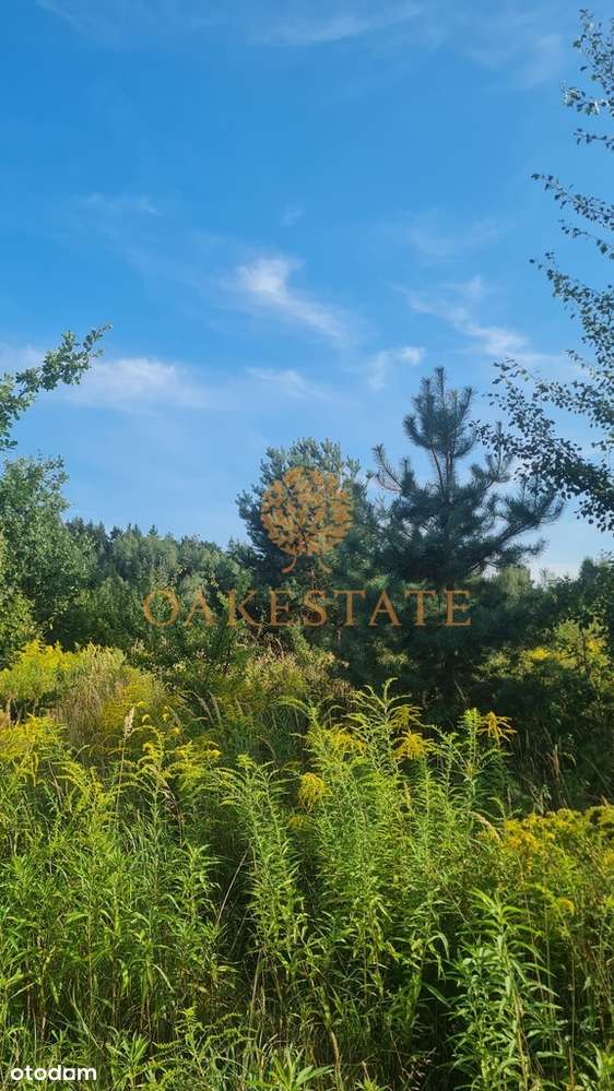 234/9676/OGS - Pełny obrazek: 5/10