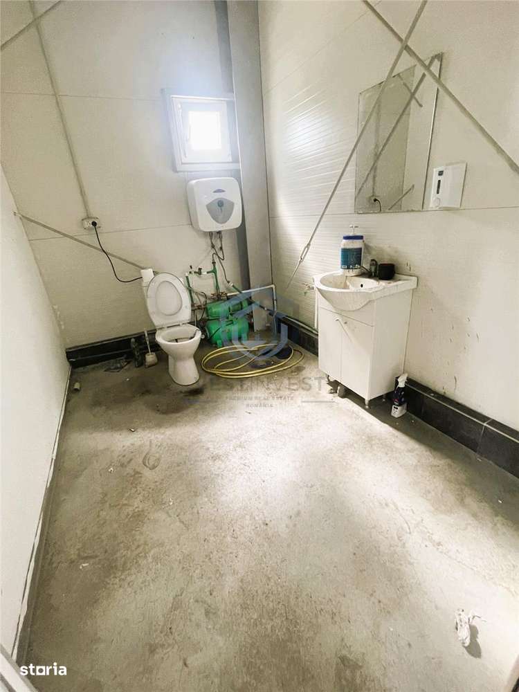 Hala Industriala 250 mp Cu Teren De 1510 mp - Imagine principală: 5/13