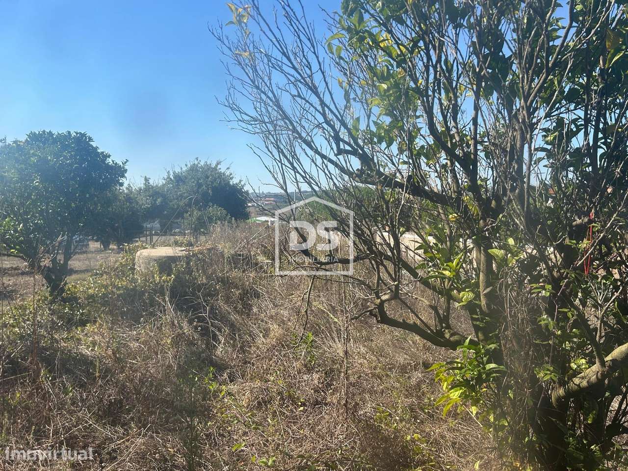 Moradia Devoluta T3 Venda em Cela,Alcobaça - Grande imagem: 5/34