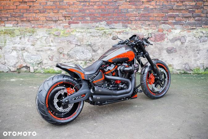 Harley-Davidson Softail - 12