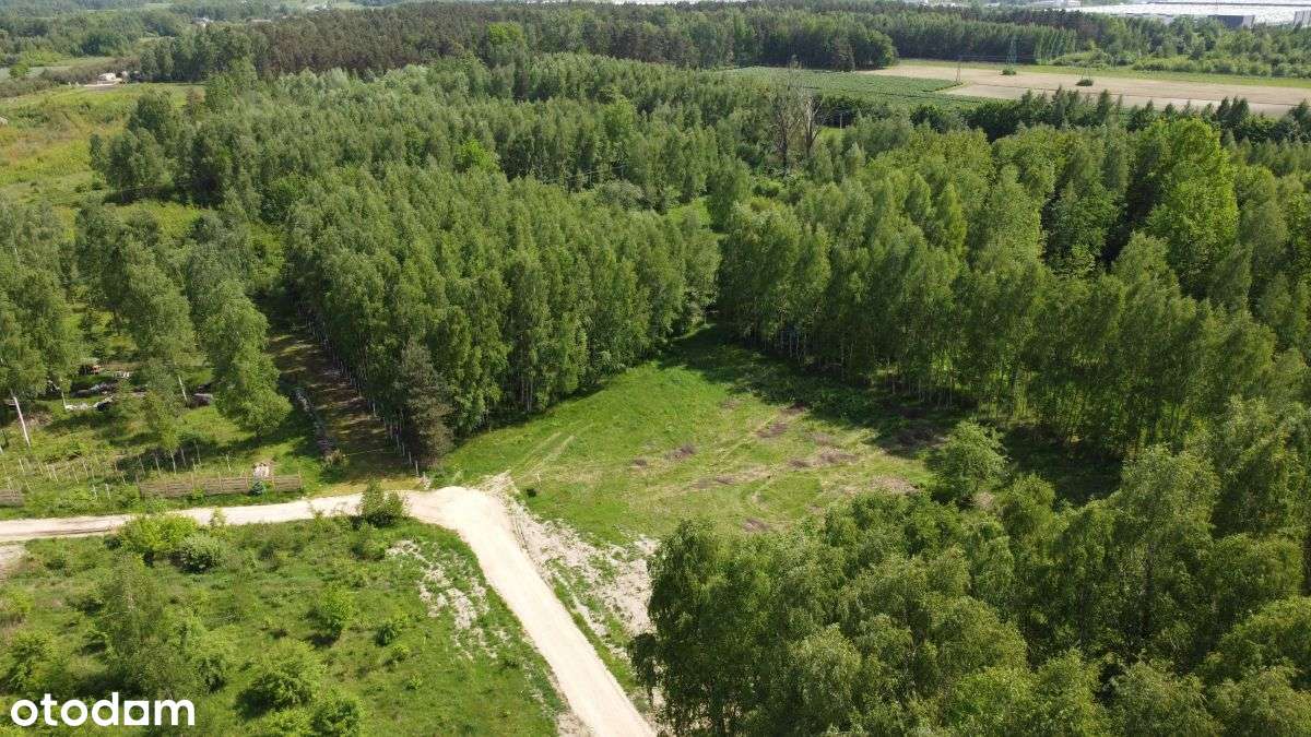 Działka budowlana przy lesie-11