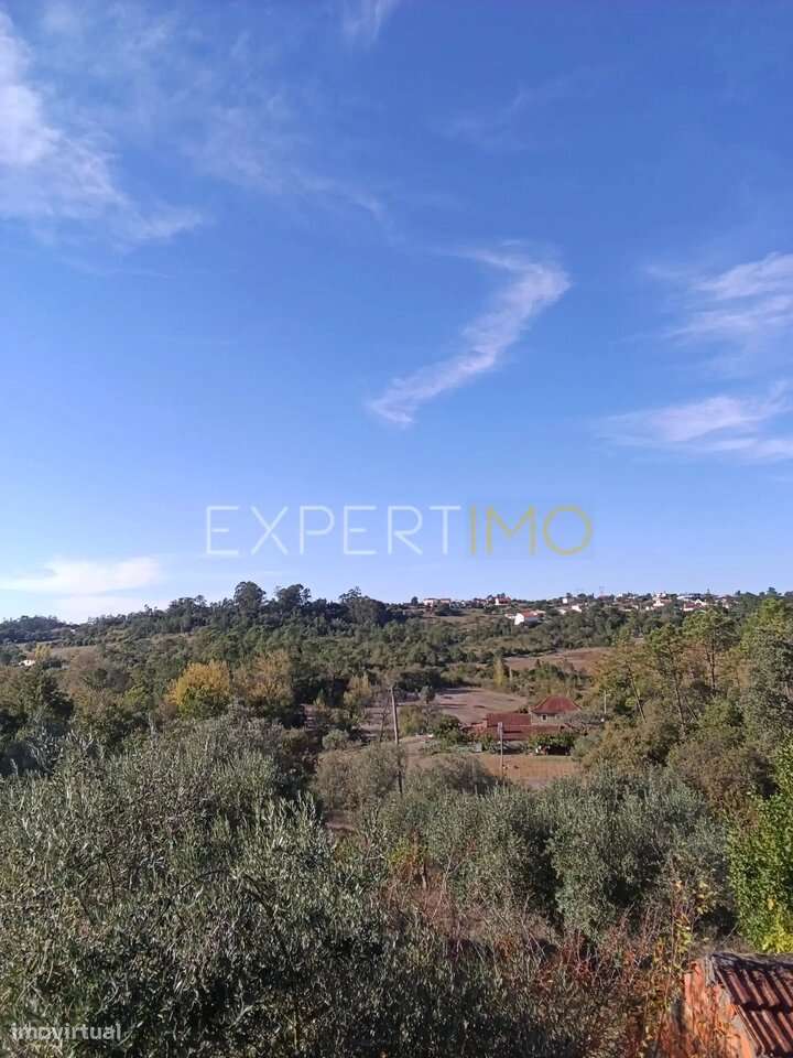 Moradia para renovar Pombal / Distrito de Leiria - Grande imagem: 4/12