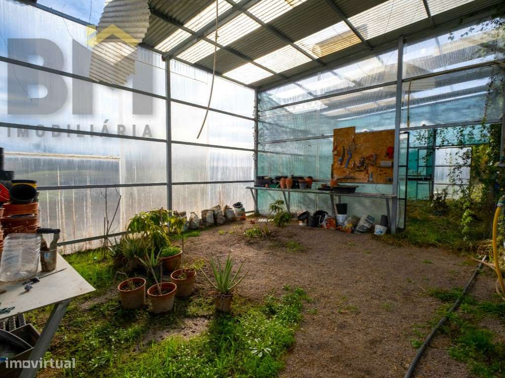 Quinta das Fontainhas - Propriedade Única em Lardosa-33