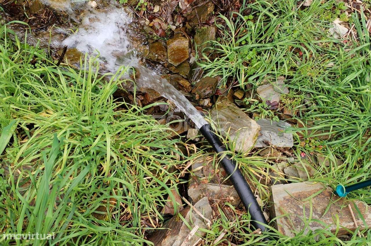 Terreno agricola e florestal.-11