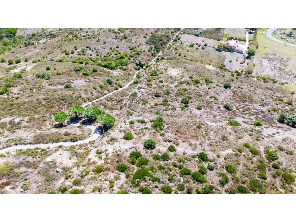 Terreno Rústico à Venda - Fontainhas, Alcabideche (Cascais)-9