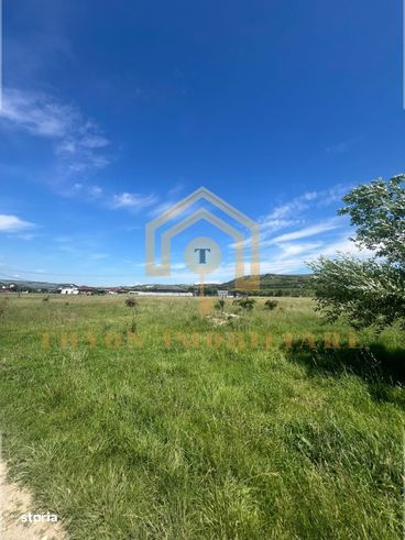 Teren extravilan de 10.030 mp – Petrești, Sebeș-4