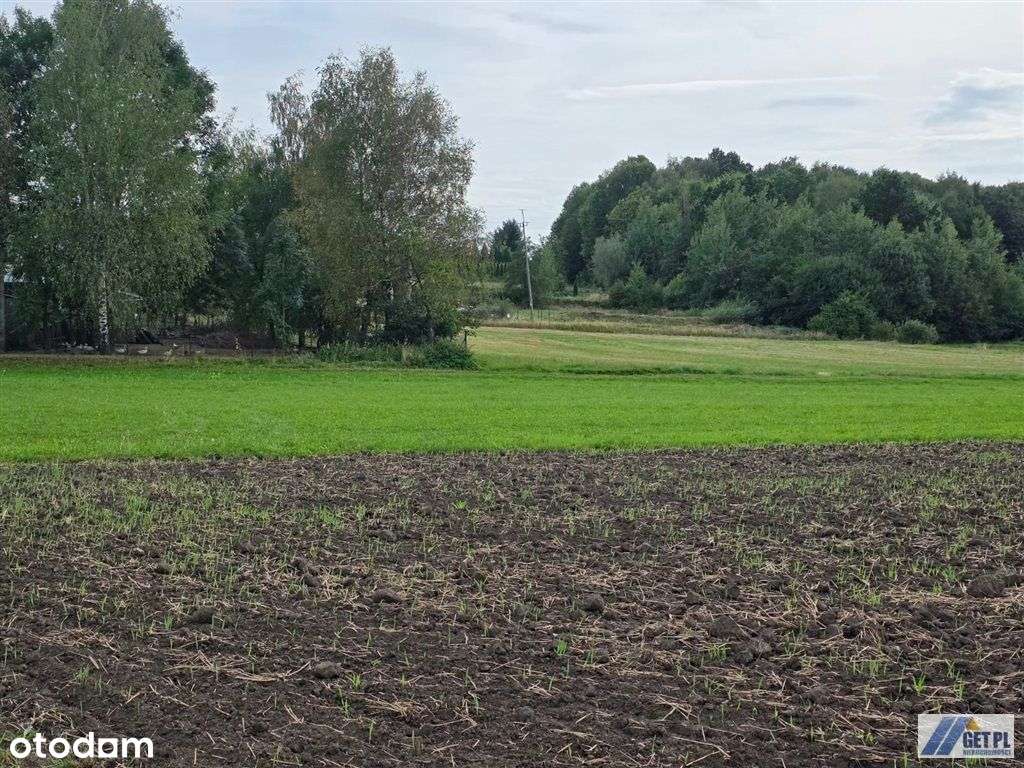 Działka budowlana Sułów 10 arów - Pełny obrazek: 4/17