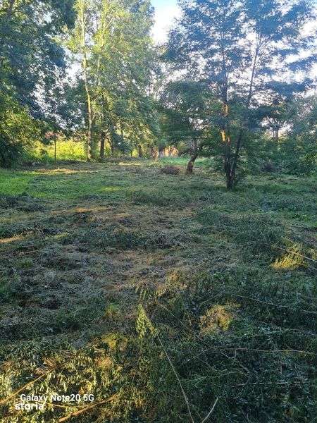 Teren  intravilan de vanzare in Voievodeni Comuna Voila Judetul Brasov - Imagine principală: 5/5