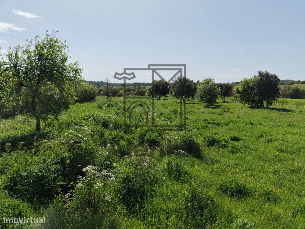 Terreno Rústico com 4207 m² em Cabanas do Chão-9