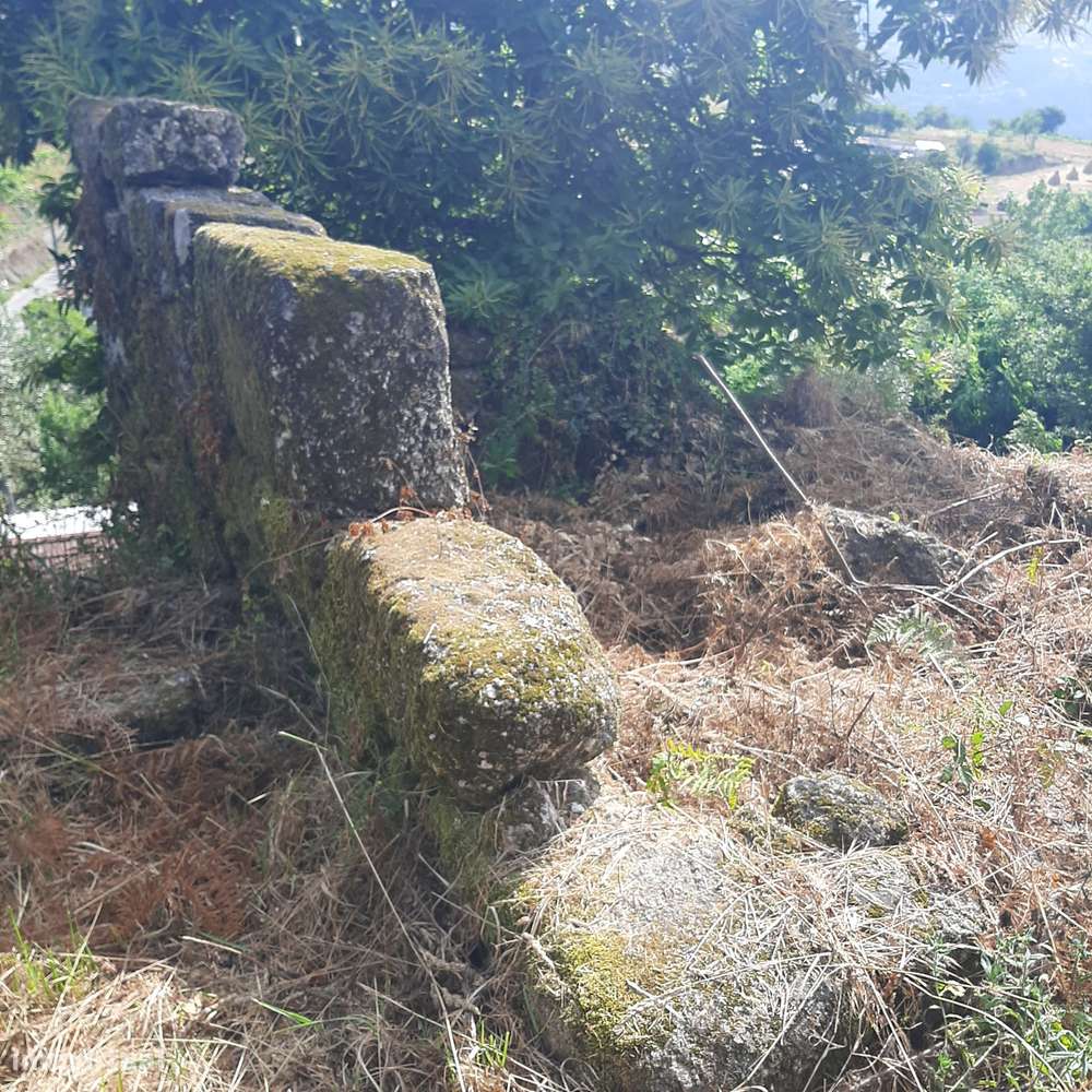 Casa em pedra para reconstruir Canelas Penafiel - Grande imagem: 4/44