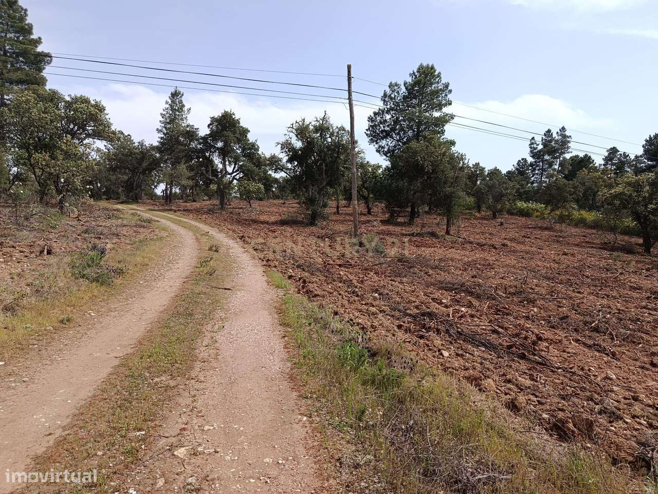 Terreno Rústico com 1.6ha Monfortinho-17