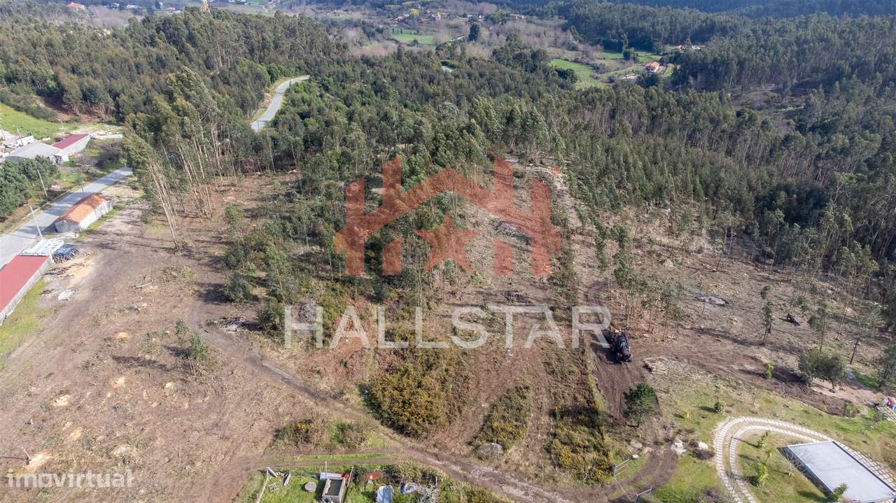Terreno Florestal / Área Total 2.480m2 / Penafiel - Grande imagem: 3/8