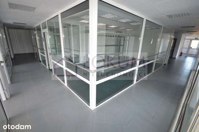 Hala/Magazyn, 300 m², Jastków - Pełny obrazek: 5/13