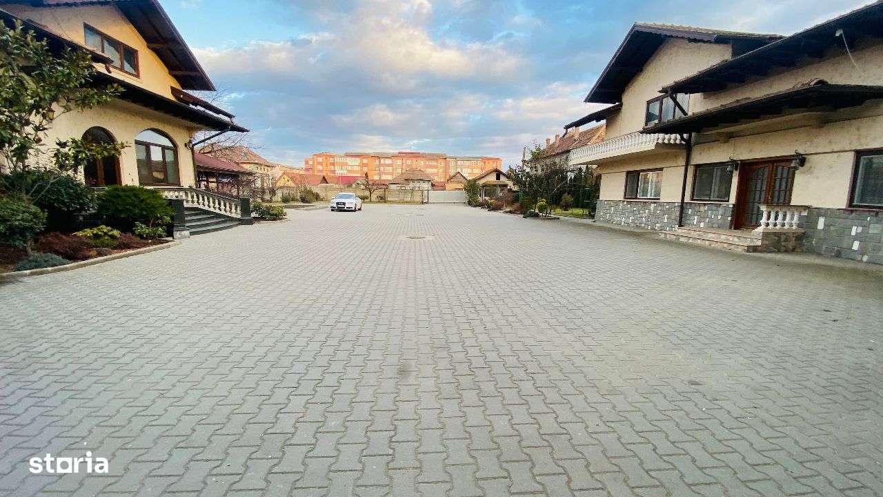 Exclusiv. Proprietate De Vanzare In Sebes, Suprafata Totala 8506 Mp - Imagine principală: 3/20