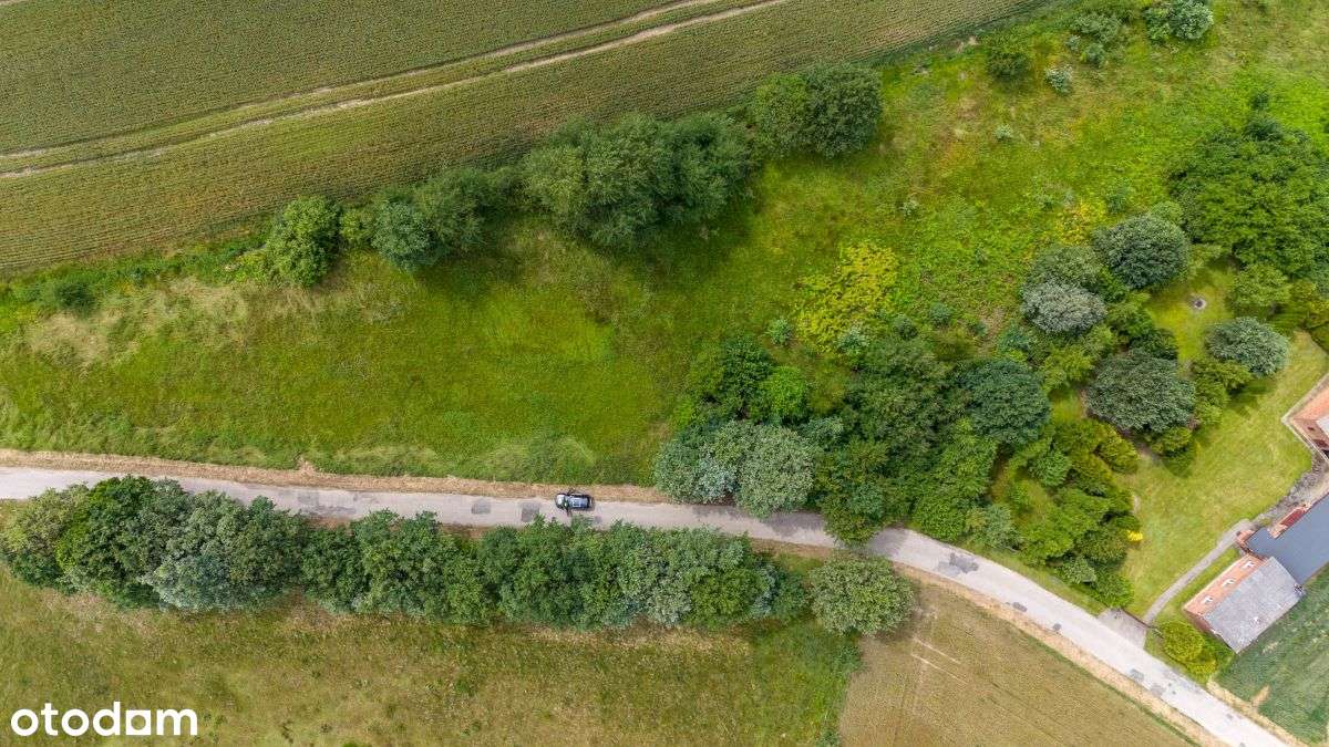 Działka budowlana Woźniki, Czarny Las - Pełny obrazek: 4/20