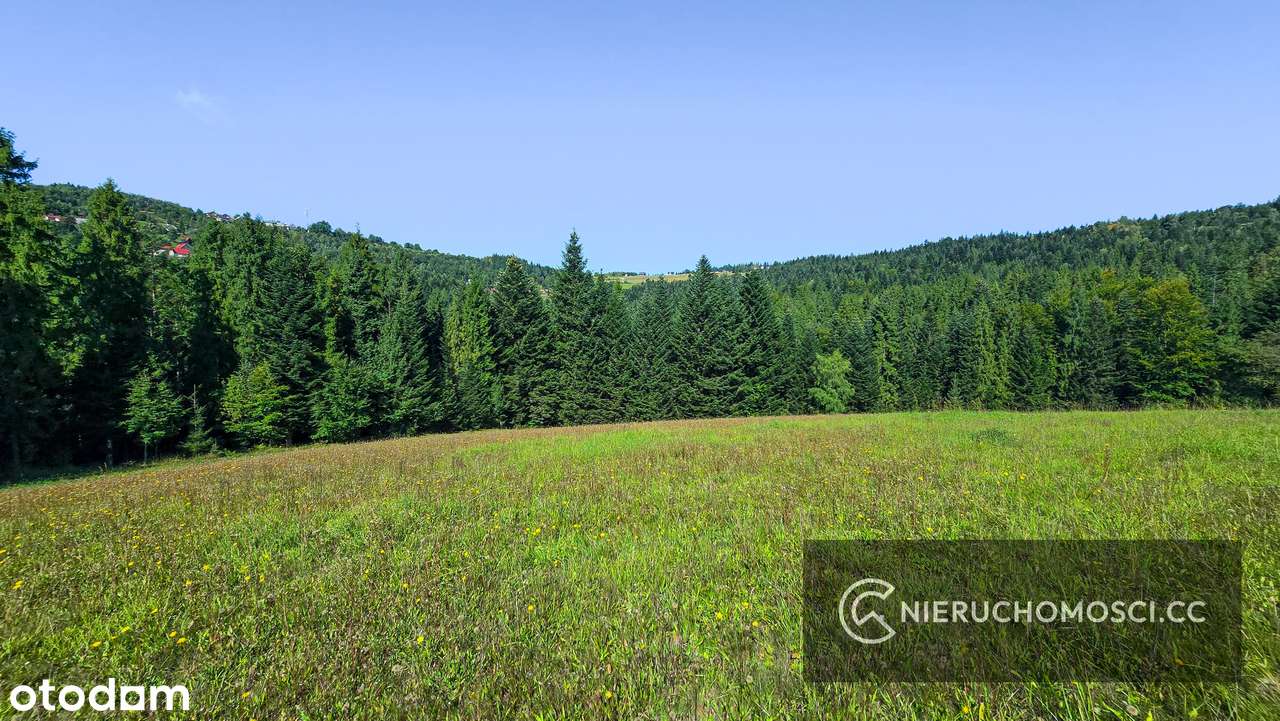 Działka budowlana 19,5ar i 17ar BOGDANÓWKA! - Pełny obrazek: 4/18