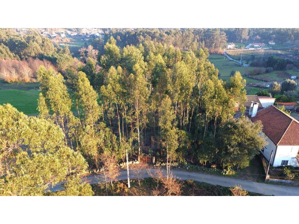 Terreno Urbano p/ Construção - Friastelas - Ponte de Lima - Grande imagem: 2/9