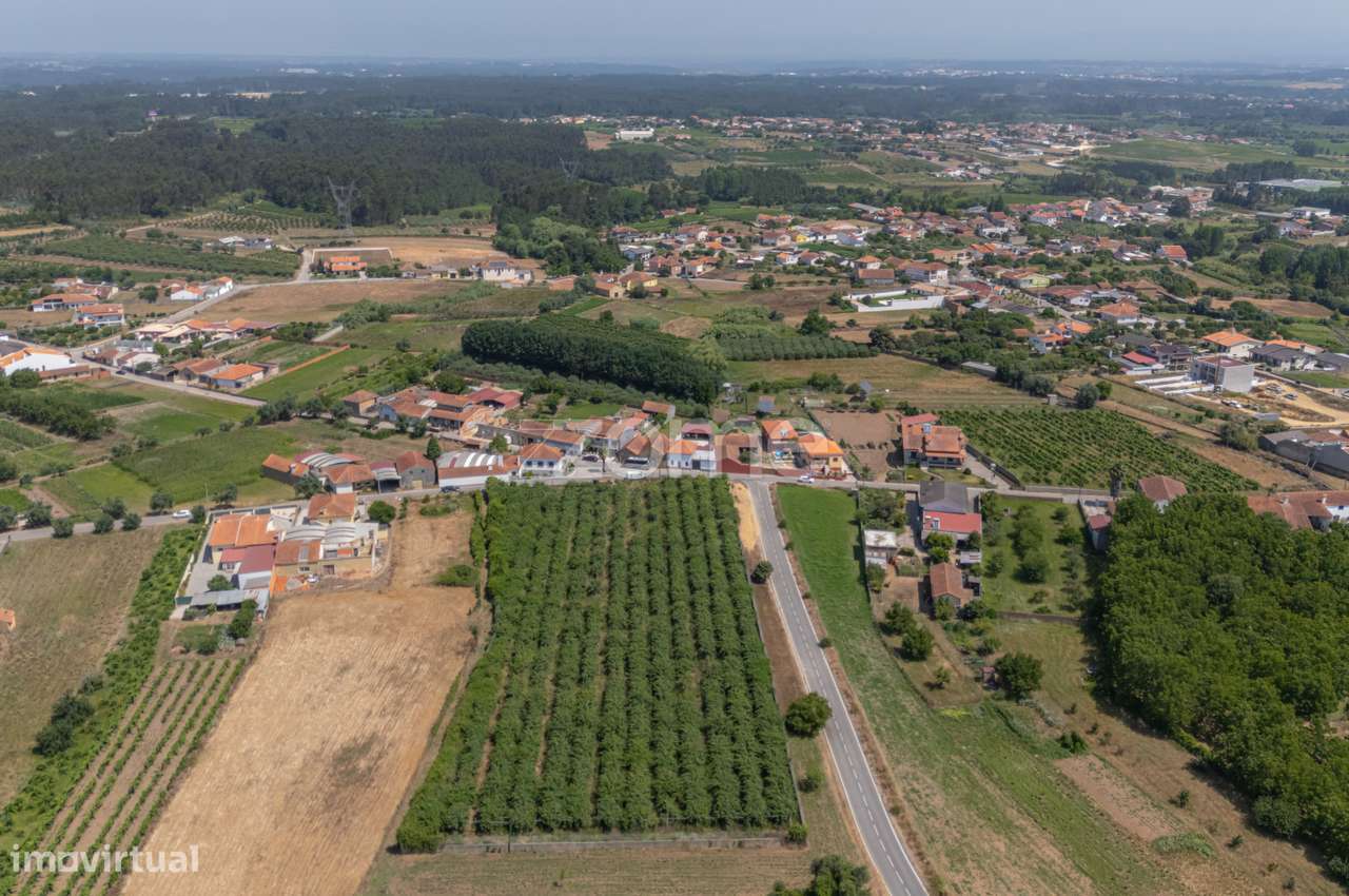 Terreno Terreno Urbanizável com Pomar Kiwis e Poço – Paredes do Bai... - Grande imagem: 4/22