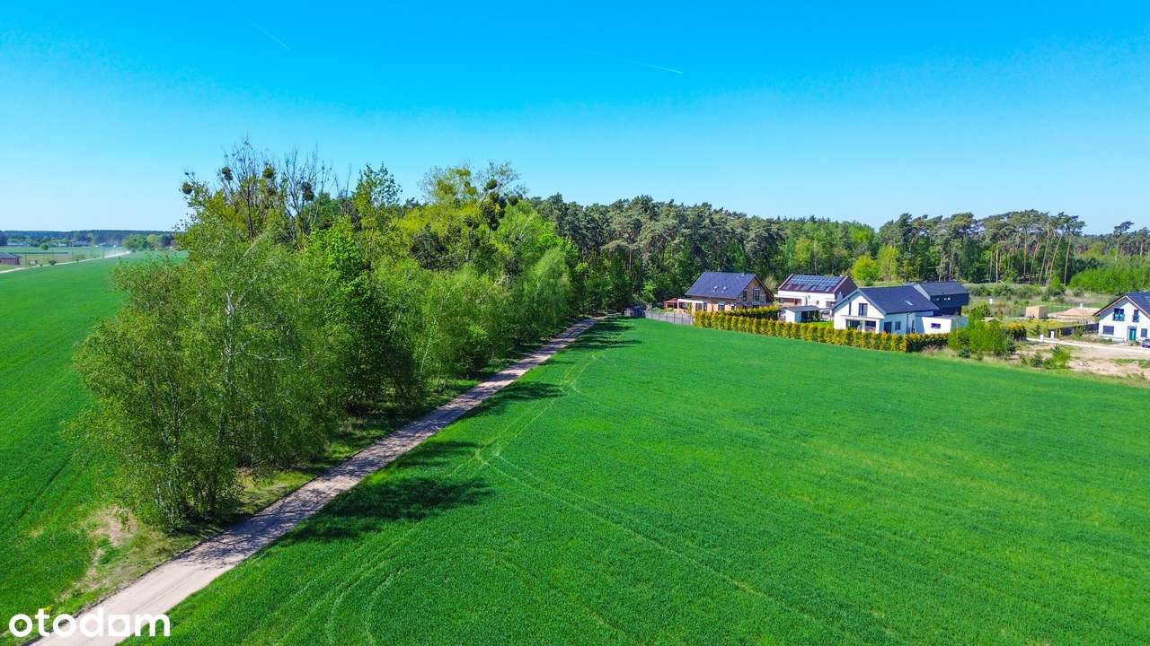 Działka ze ścianą LASU ! MPZP - Pełny obrazek: 4/4