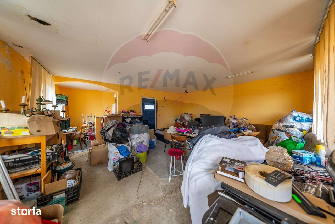 Spațiu industrial cu potential de vanzare in Paulis,Arad-11