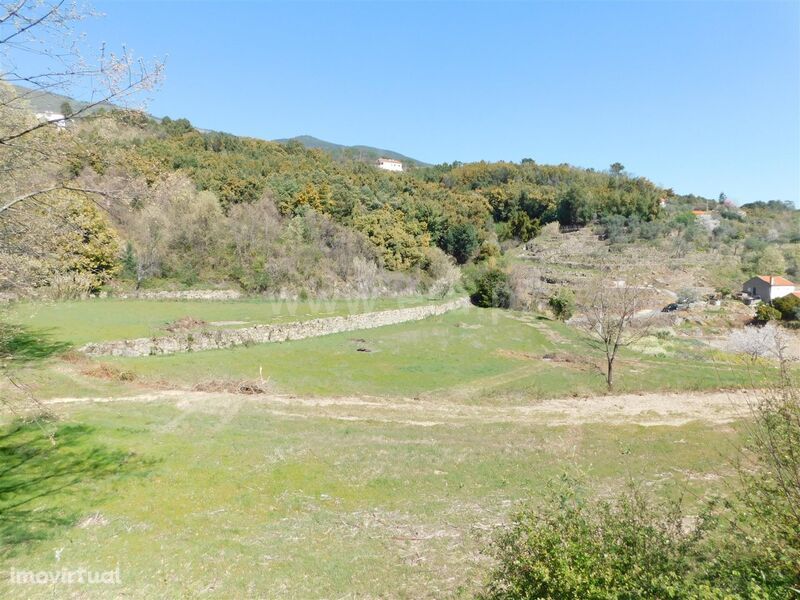 Terreno / Covilhã, Canhoso