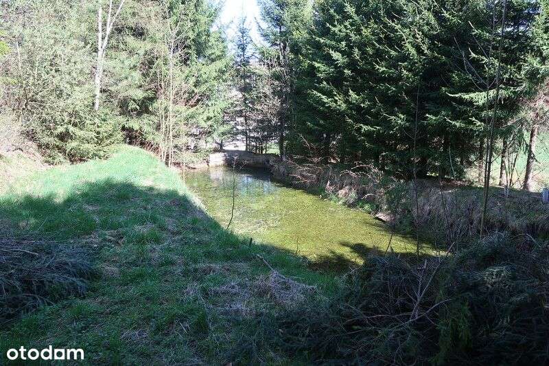 Janowice Wlk. Mały dom 3 pok. 65 m2-12