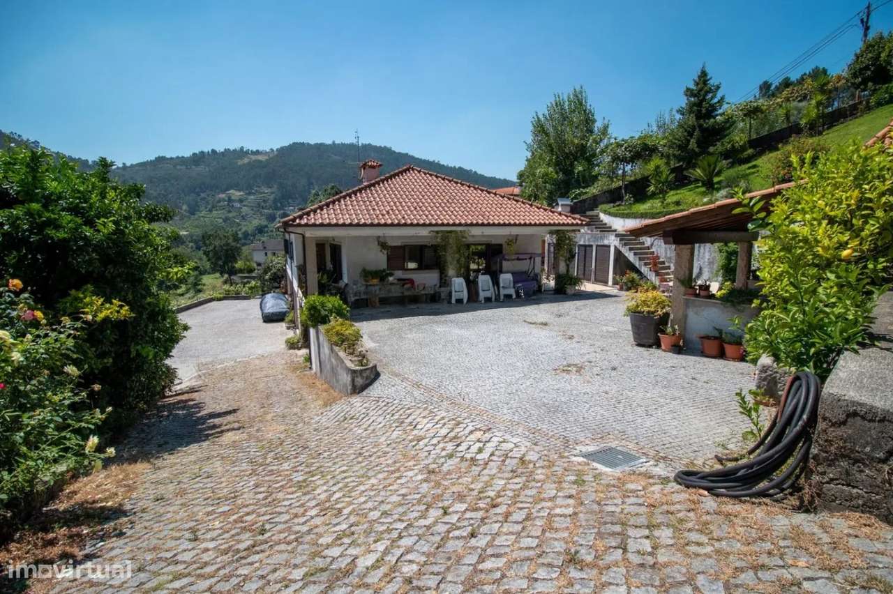 Quinta com vinha e Produção de vinhos em Freixo de Baixo Amarante-8