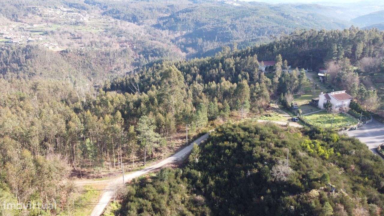 Terreno – Oliveira de Frades - Grande imagem: 5/18