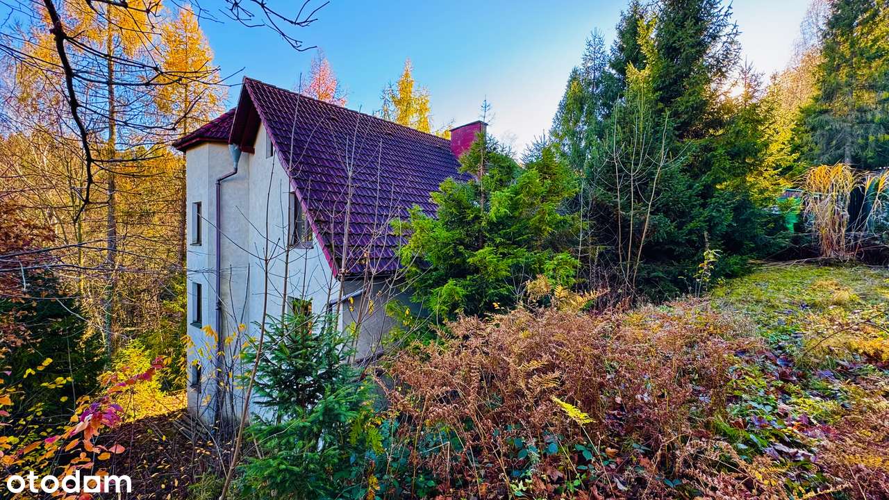 Dom z muminkową wieżą 330m2 wkoło las blisko rzeka BRENNA CENTRUM-5