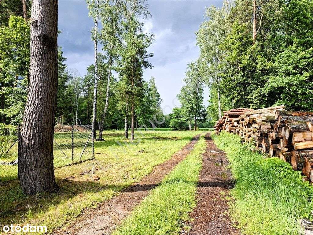 Urocze miejsce do zamieszkania - Pełny obrazek: 2/8