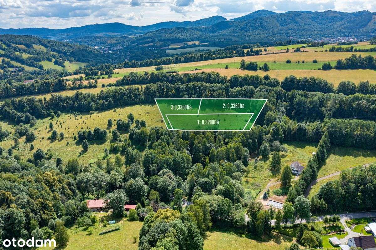 Działka widokowa, w otulinie leśnej, Olszyniec - Pełny obrazek: 4/8