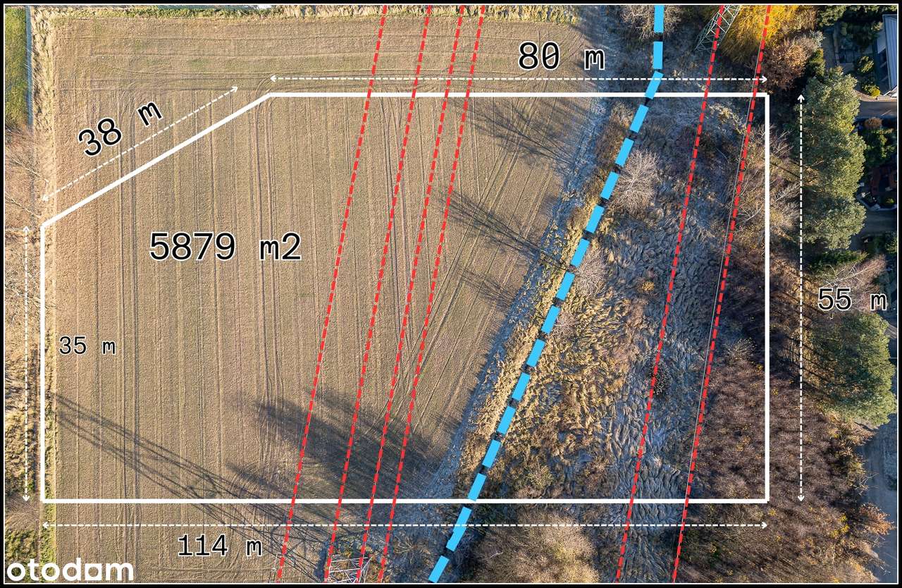 Kiekrz - działka rolna 5 879m2-11