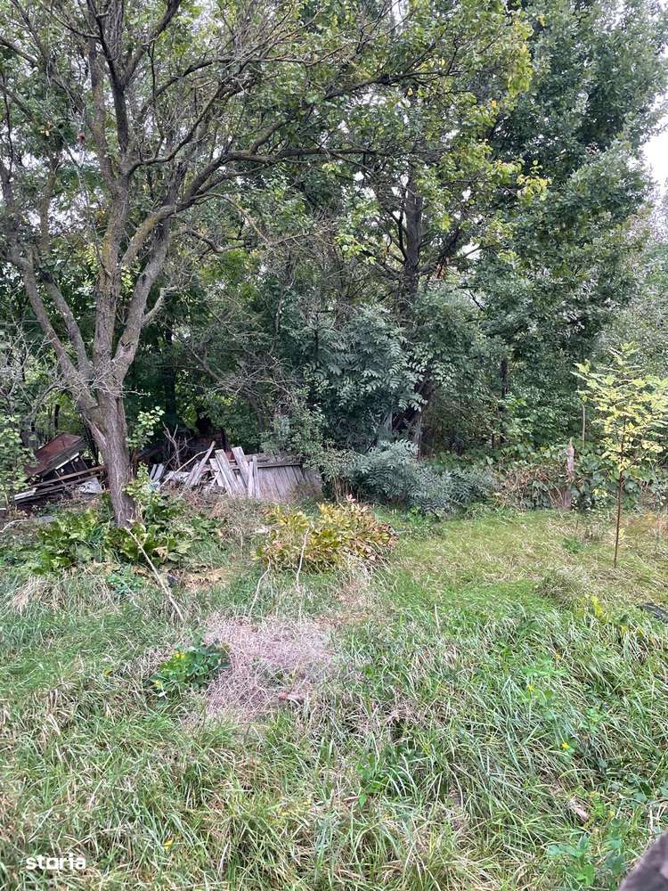 Casa si teren 832 mp Margineni-Caniparie - Imagine principală: 5/6