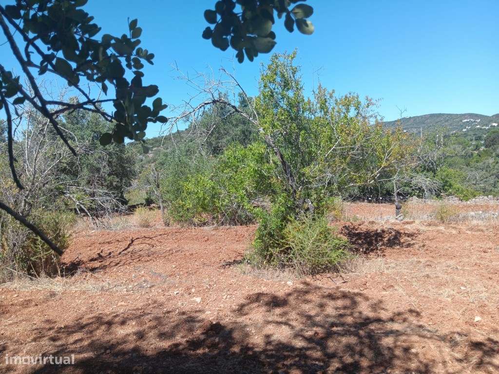 Terreno com ruína, vista mar, Santa Bárbara de Nexe, Faro, Algarve-5