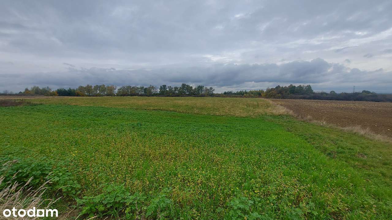 Góra Siewierska, działka pod zabudowę mieszkaniową - Pełny obrazek: 5/5