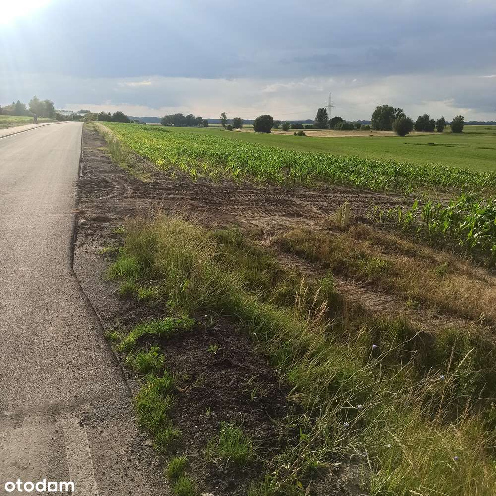 Działki inwestycyjne Kościan 3439 m2-6