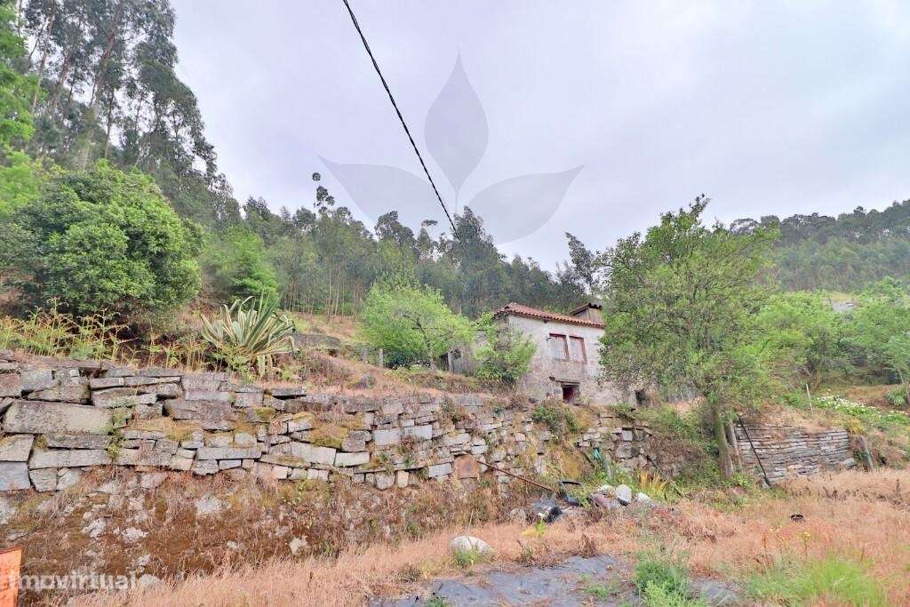 Duas Moradias em Escudeiros c/ aprox. 3.200m2 de terreno-11