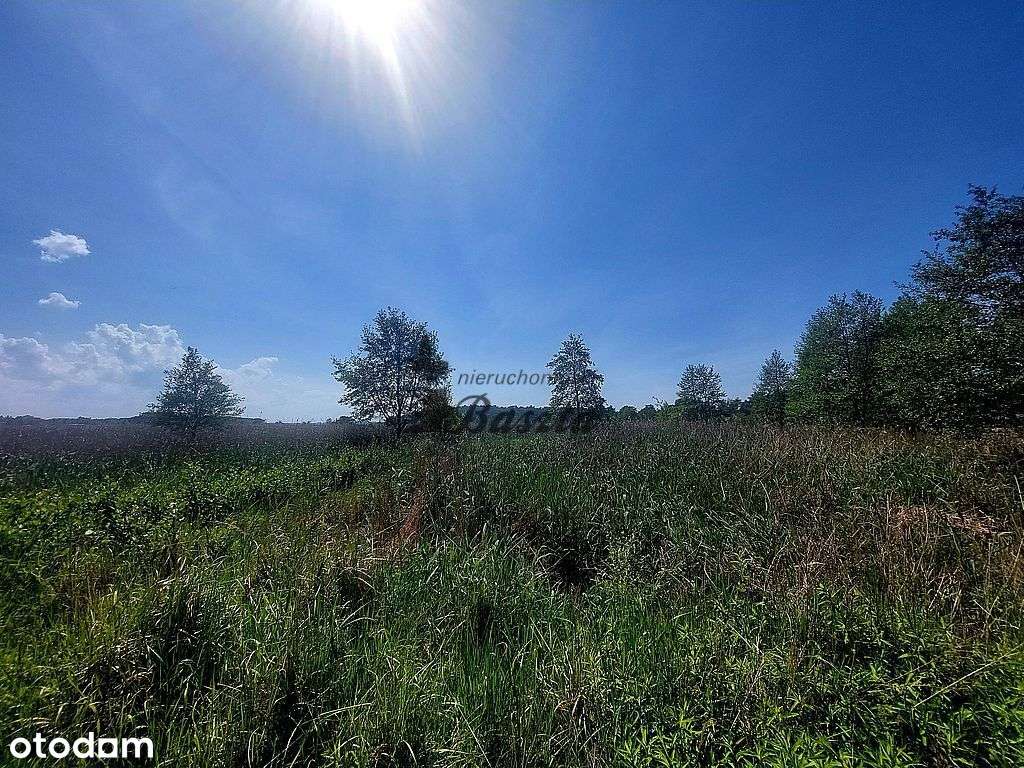 Działka budowlana w Międzywodziu ok.900 m od plaży - Pełny obrazek: 5/7