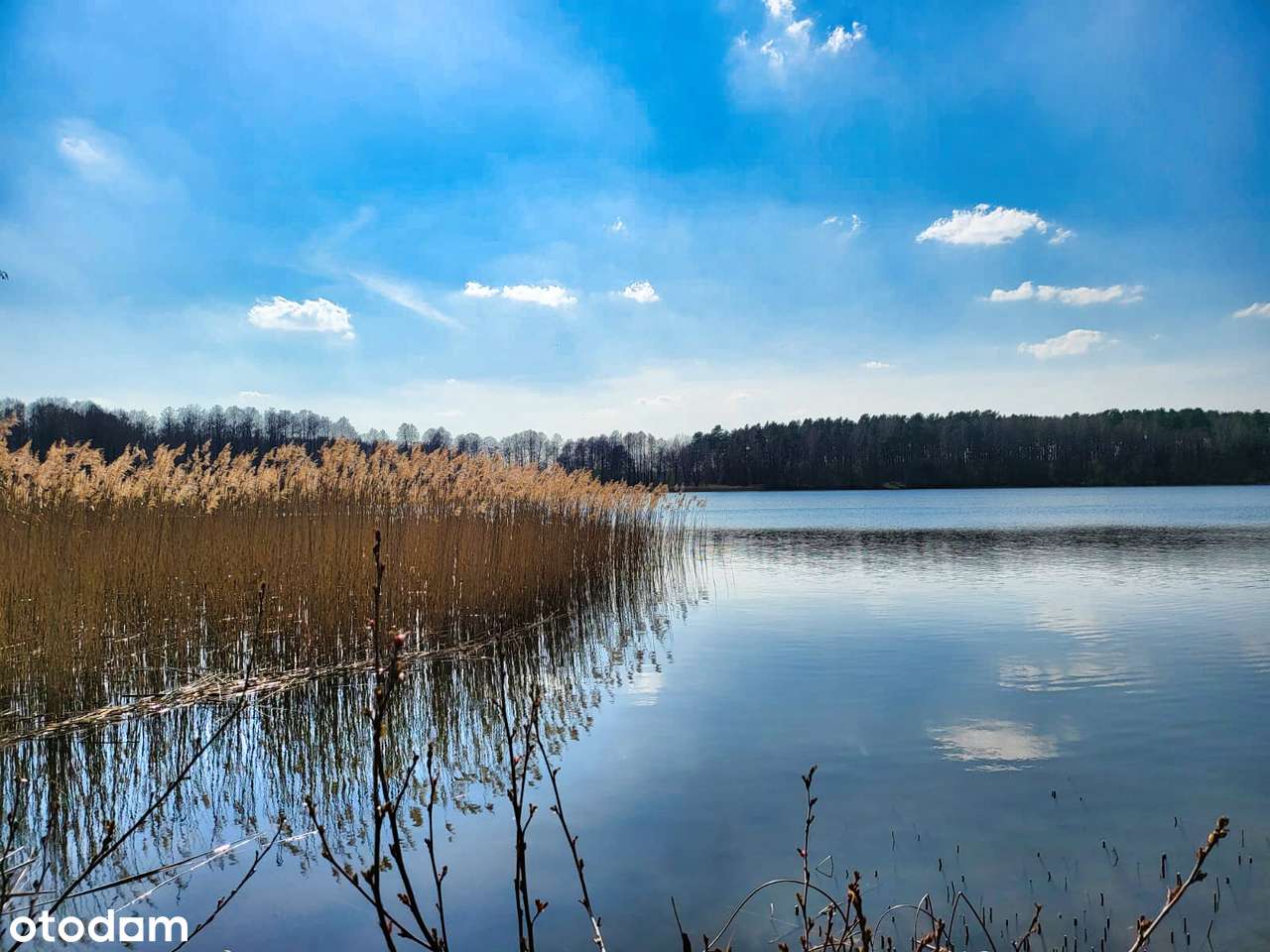 Działka budowlana nad jeziorem. Dzień otwarty sobota 10:45-12:00 - Pełny obrazek: 4/9