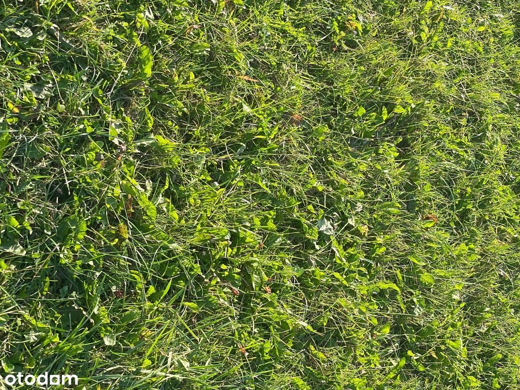 Bobolin Nowe Działki od 300 do 5000m2