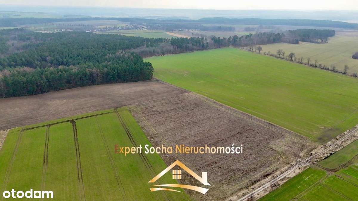 Działki położone w Kaninie gmina Nowa Wieś Lęborsk - Pełny obrazek: 2/5