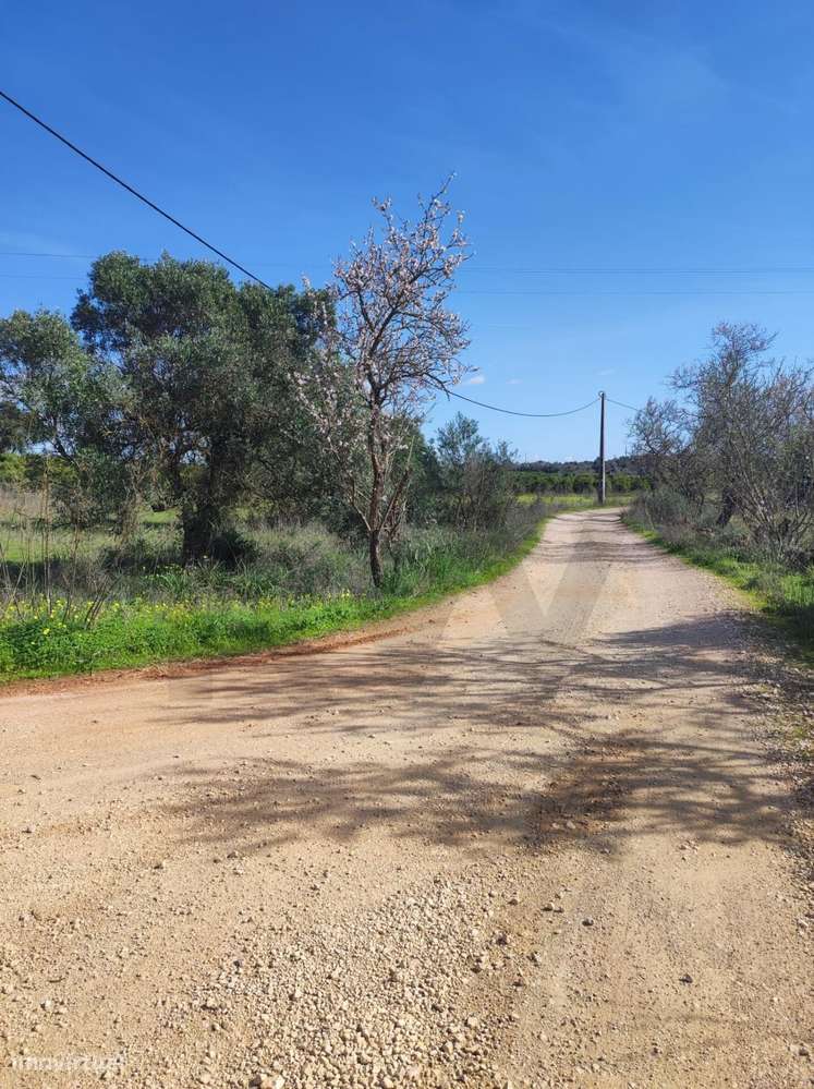 Terreno Rústico com 1200m2, Benaciate - Silves - Grande imagem: 4/15