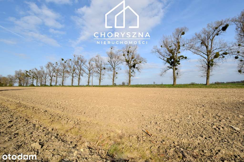 Działka budowlana w Bierutowie -możliwość podziału-10