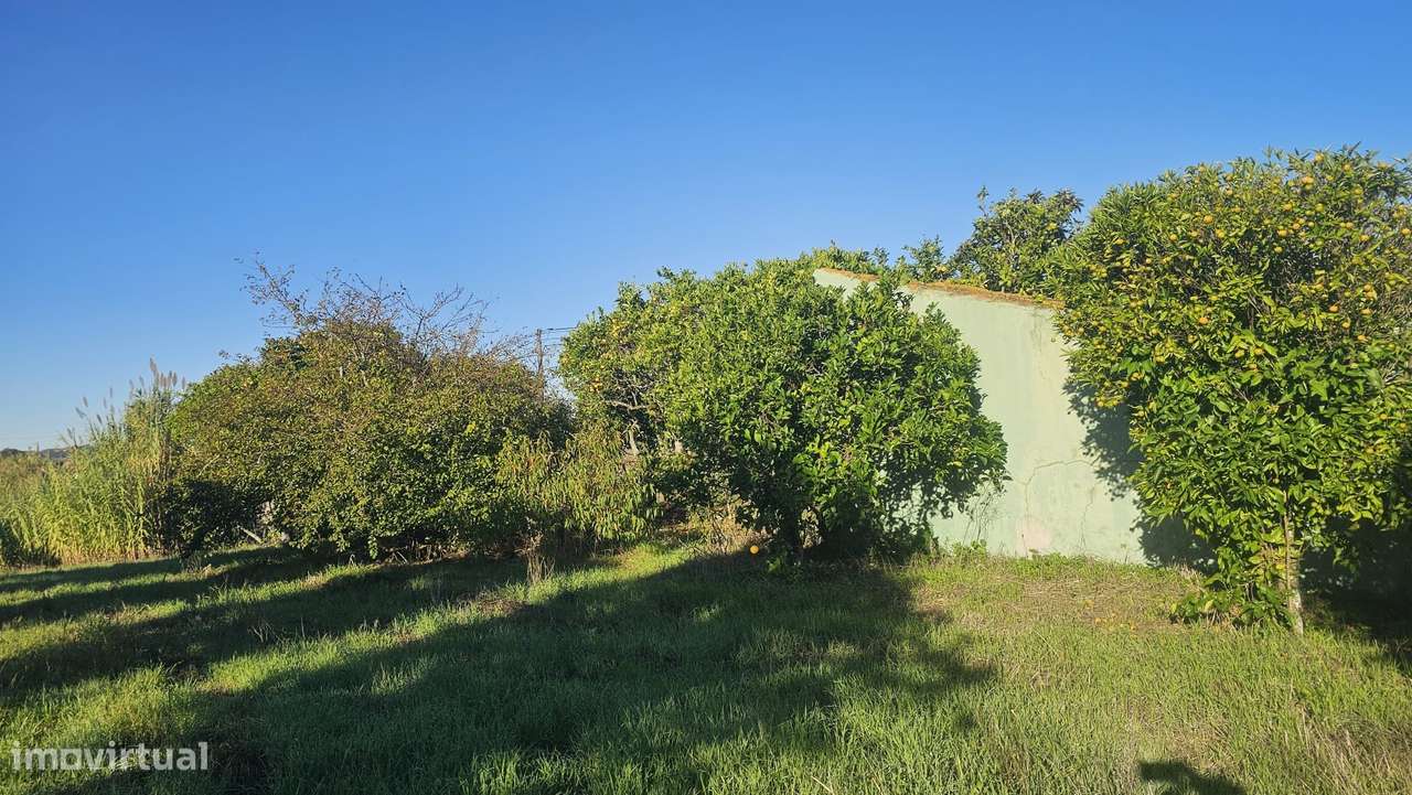 Terreno  Venda em Alqueidão,Figueira da Foz - Grande imagem: 4/38
