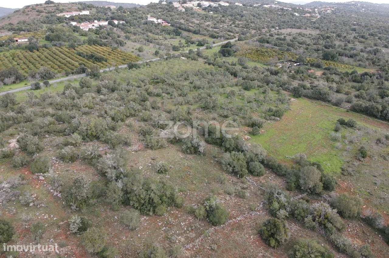 Terreno Rústico com 3.440m2 em Charneca da Torre, Messines - Grande imagem: 2/15
