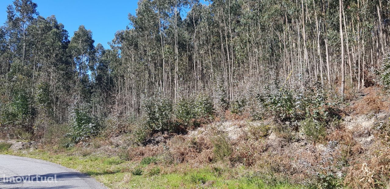 Terreno em Travassós, Fafe