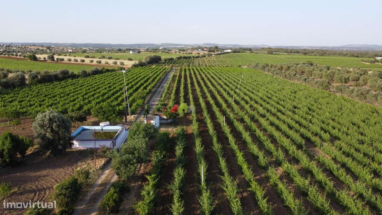 Quinta junto ao Grande Lago "ALQUEVA" - Grande imagem: 5/60