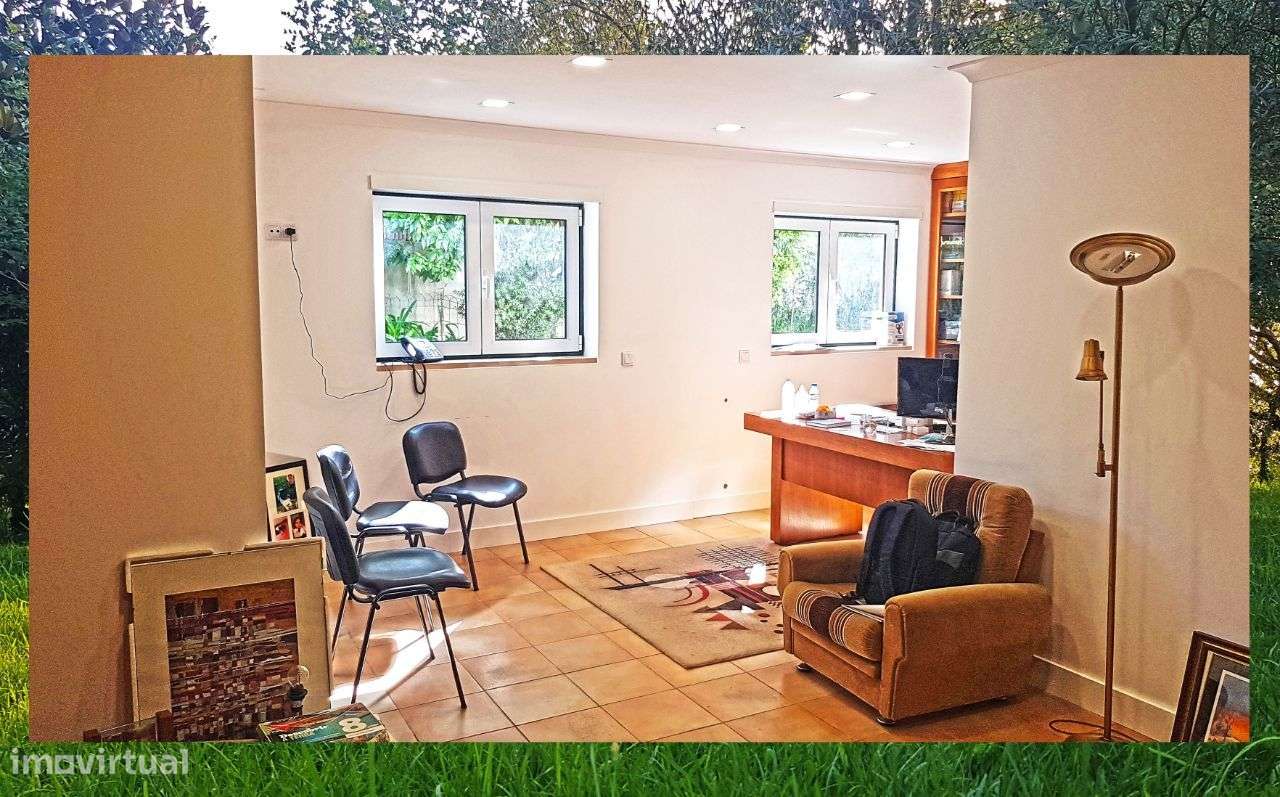 Quintinha com Mata secular-41