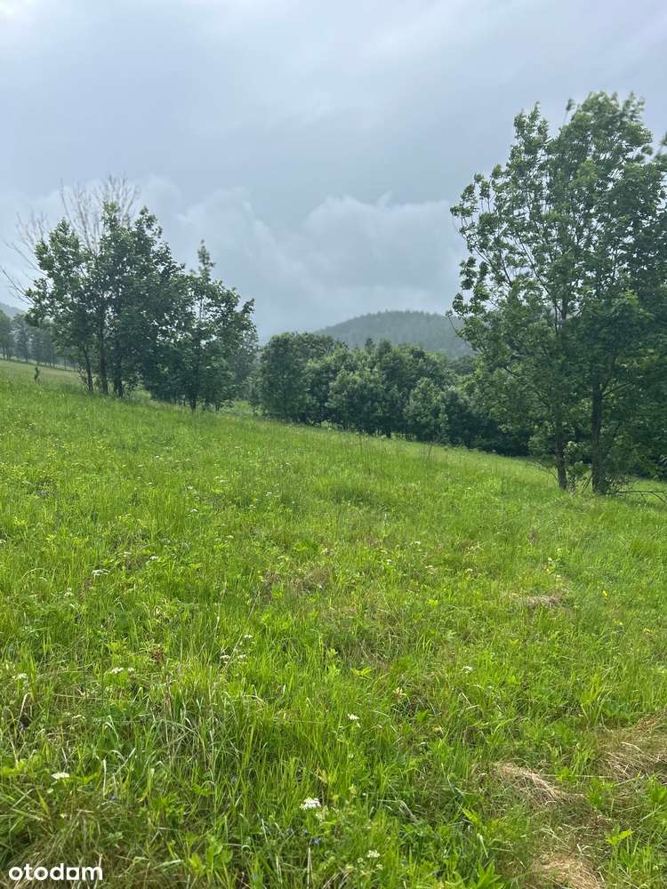 Działka budowlana z projektem pensjonatu - Pełny obrazek: 5/6